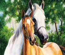 Белая лошадь и жеребенок