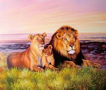 Семья больших львов у моря