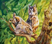 Две совы на ветке