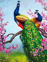 Большие павлины на цветущем дереве