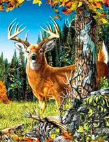 Молодой олень в осеннем лесу