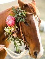 Лошадь с цветком