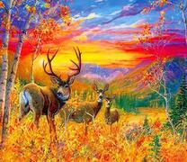 Стадо молодых оленей на фоне красивого заката