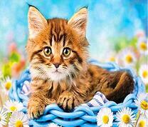 Котенок в корзинке вокруг ромашек