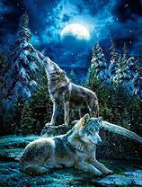 Вой волка в темном лесу