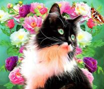 Черно-белый котик среди цветов