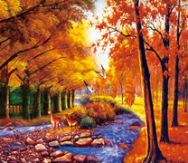 Косули в осеннем лесу на водопое