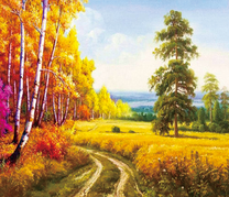 Дорога вдоль березовой рощи