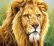 Большой грозный лев