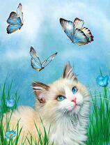 Белый котенок среди голубых бабочек