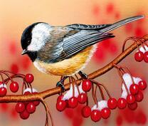 Синичка на ветке калины