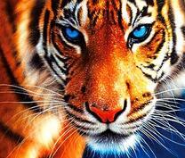 Хищный тигр