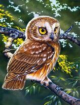 Желтоглазая сова на ветке