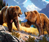 Схватка бурых медведей