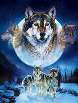 Серые волки в полнолуние