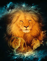 Львы на черном фоне