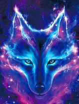 Волк среди ночи