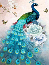 Павлин лазурного цвета