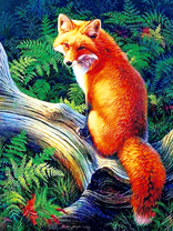 Лиса на дереве