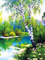 Две стройные берёзки у реки