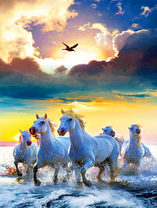 Стадо белых лошадей на берегу моря