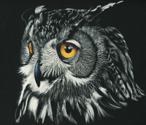 Черный филин