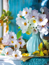 Букетик нежной космеи