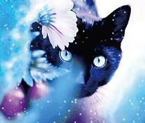 Черный котёнок возле цветов