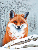 Пушистая лиса у заснеженных березок