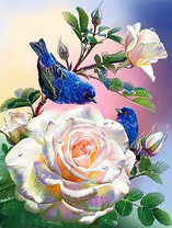 Синие птички на светлых розах