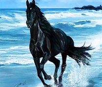 Высокий черный конь у моря