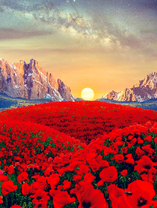 Маковое поле среди высоких гор