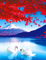 Белые лебеди на озере под осенним деревом