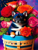 Черный песик в корзинке с розами