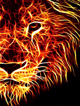 Портрет огненного льва