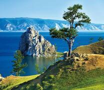 Дерево на берегу и скала в озере