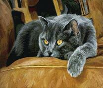 Серый кот на кресле