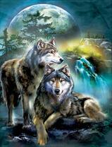 Пара волков у водопада под луной