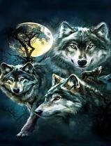 Стая волков у дерева под полной луной
