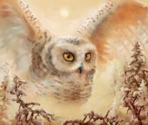 Большая белая сова в зеснеженном лесу