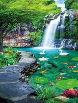 Озеро с карпами и лебедями