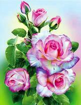 Куст нежных цветущих розочек