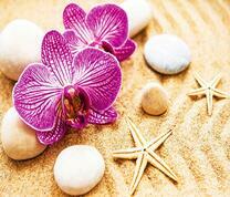 Морские звезды и орхидеи и на пляже