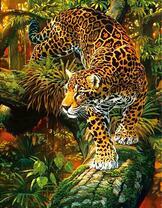 Хищный леопард на дереве в джунглях