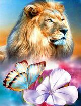 Лев, нежный цветок и бабочка