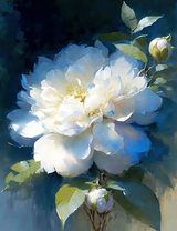 Крупный белый пион