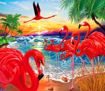 Стая розовых фламинго на берегу моря