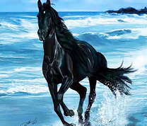 Черная лошадь на берегу моря