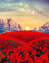 Маковое поле среди высоких гор