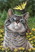 Серый кот среди желтых цветов